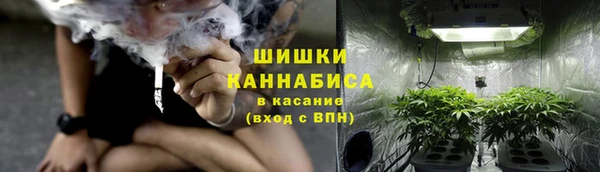 мескалин Богданович