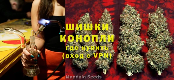 PSILOCYBIN Богородицк
