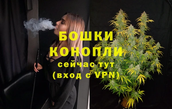 PSILOCYBIN Богородицк