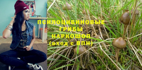 PSILOCYBIN Богородицк